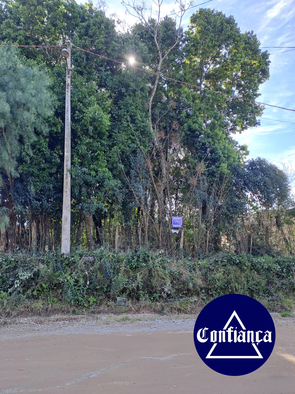 Terreno